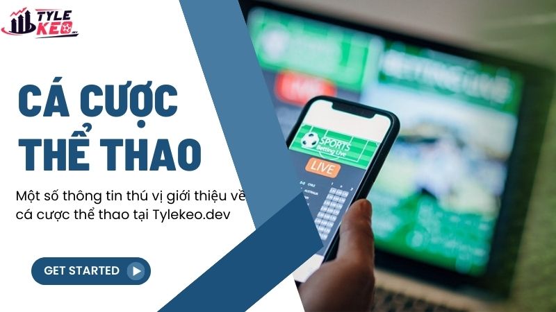 Một số thông tin thú vị giới thiệu về cá cược thể thao tại birdiptv.tv